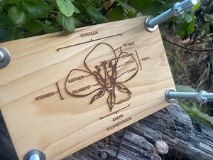 Flower Press Kit, Herb, Plants, Scrapbook, Memories - Etsy Australia