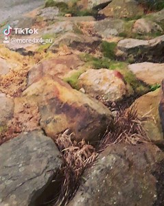 Sand Taupe 79 Series with JMacx Coil Conversion and a whole truck load of gear from ARB 4x4 Accessories Jmacx offroad solutions ROH Wheels Rhino-Rack MAXTRAX MAXXIS Tyres Australia #maxxistires #maxxisrazr #rohwheelsaustralia #jmacxcoilconversion | MORE 4x4 | Facebook