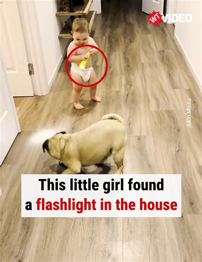 Once upon a time, there was a little girl, a dog and a flashlight... | WTVideo