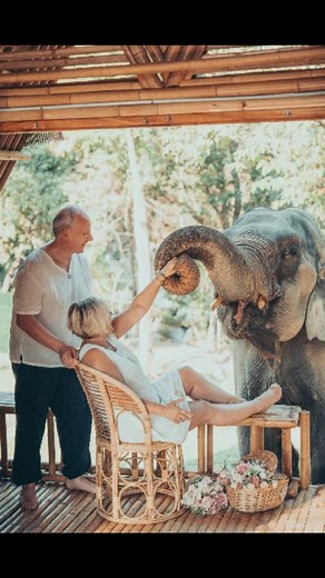 5.3K views · 33 reactions | Beautiful Buddhist blessing . . . . #foresttemple #junglemagic #chiangmai #elope #destinationwedding #honeymoon #chiangmai #elephants #chailaiorchid #cute #traveldeeper #travelinspiration | The Chai Lai Orchid | Facebook