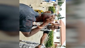 Party supporters with gunshot injuries after clash between PDP and APC youths at gate of Oba of Benin palace in Benin City, Edo State | AIT Online