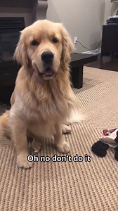 151K views · 7.9K reactions | A compilation of some of my older funniest videos... including a bath time,food review and Doris singing apple time  | Sterling Newton | Facebook