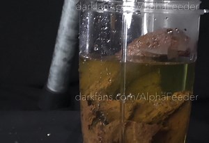 Shit Shake Flushed!!