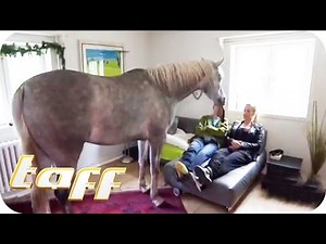 Deutschlands Extreme mit Charlotte Würdig (Teil 1) | taff | ProSieben