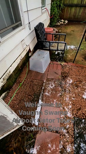 Welcome to Vaughn SwampAirboat Gator Tours Coming Soon. #rain #flooding #nomorerain | Brad the News Guy