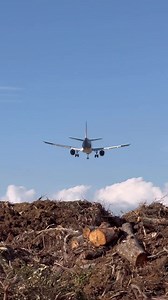 Welcome to Clearwater Florida | Tri-County Tree & Bobcat Service Inc.