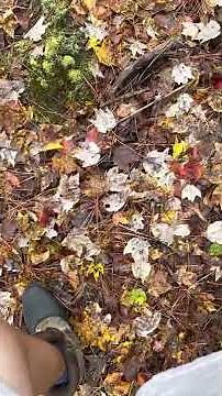 Women can pee outside too - Qarsherskiy nature route