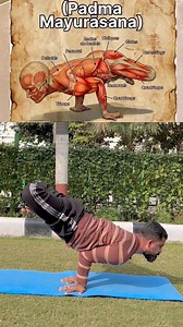 Padma Mayurasana (Lotus Peacock Pose) is an advanced arm-balancing Yoga pose try with me #Yoga #yogikuljeet #yogapractice #yogaonline #yogapose #nalagarh | Yogi kuljeet thakur