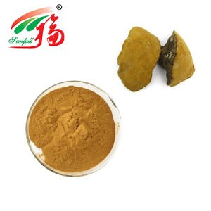 [Hot Item] Phellinus Igniarius Extract 25% Polysaccharides Phellinus Igniarius