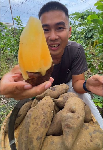 Ăn thử Khoai sâm đất #thanhhungtrainghiem