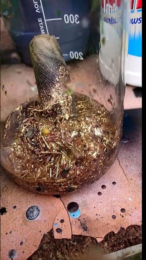 Gold recovery - gold refining #refining #gold #goldrecovery #goldrefining #shortvideo #goldjewellery