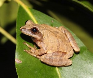 2.9K views · 25 reactions | As you start exploring the Parkway this...