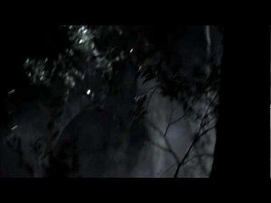 Dying Breed - 1. "Tasmania"