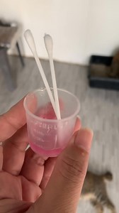 5.4K views · 337 reactions | Minivlog | Ano nga ba ang sakit na gingivitis sa pusa at ano ang mga sintomas nito. | Momshie Donna | Facebook