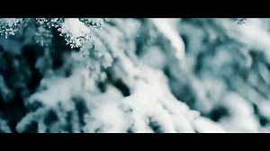 2.2K views · 100 reactions | Ski tour de Hunza & Naltar Valley...