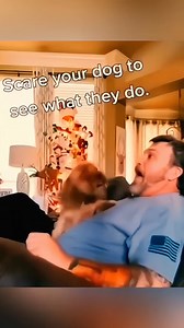 2.1K views · 40 reactions | When the dog’s digging holes and the cat’s digging through your closet! ⛏️ #GoofyPets #FunnyAnimals #SillyCritters #PetLaughs #AnimalComedy | Carnival Institute of Trinidad and Tobago | Facebook