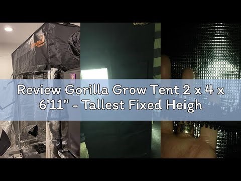 Review Gorilla Grow Tent 2 x 4 x 6'11" - Tallest Fixed Height Premium Indoor Grow Tent, Thickest & M
