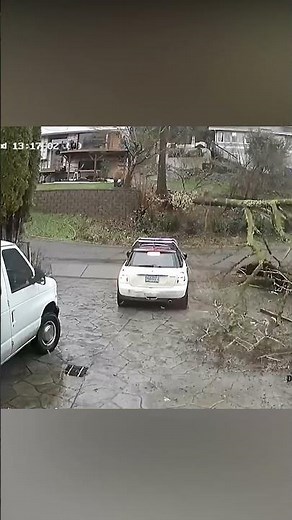 #17 60 Moments Fous et Talents Incroyables : L’Incroyable Compilation Qui Va Vous Faire Rire | Laugh