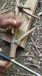 3.9K views · 16 reactions | Pemburu bambu pethuk supaya lebih tertarik | Pring Petuk | Facebook