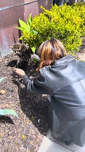 Meet Nora! As a part of our Bi+ Mentorship Program, participants had the opportunity to share their #StillBi story. This is the first of many videos that we will be sharing over the next couple months! #stillbisexual #bisexual #lgbtq #bi | Still Bisexual | Facebook