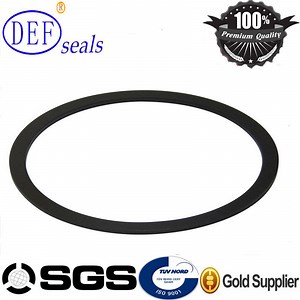 [Hot Item] Performance Equipment PTFE & PTFE Flange Gasket