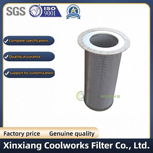 [Hot Item] 250034-085 Replacement Screw Air Compressor Filter for Oil Separator