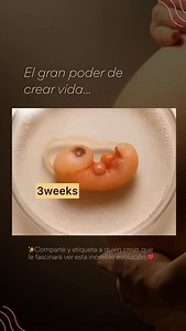 17K views · 15K reactions | ✨ Si te parece maravilloso el poder de...