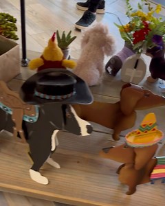 Here’s a 😉 sign that you need more spring decorations! Shop these adorable signs and decor with us online or in store. #peacebypiece #peacebypiececo #shopsmall #shoplocal #swanseaillinois #swanseail #open7daysaweek #springdecor #springdecorations #spring #signs | Peace By Piece Co.