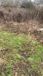 36K views · 679 reactions | Some old trucks and an old house not a bad place to walk around enjoy folks | Urbex Lost & Found | Facebook