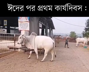 22K views · 160 reactions | Corporates are back in business. | Career Path | Facebook