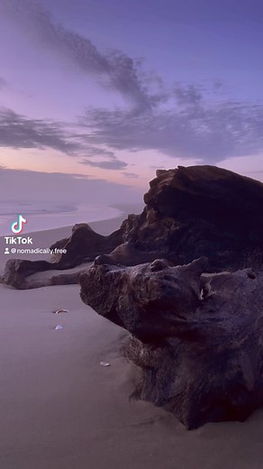 Coastal Oregon 🕊️💗 #vanlife #travel #beachvibes #serenity #ocean #pnw #puremagic #oregon #coast #hiking #adventure #sunset #peace | Shelby Cleland