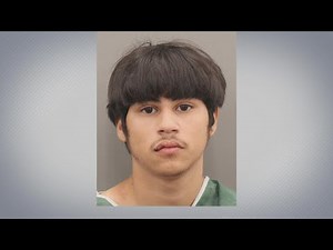 HCSO: 25-year-old woman kidnapped, raped and robbed by teens