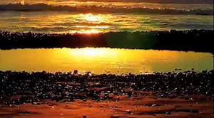 Павел Кашин - Счастье