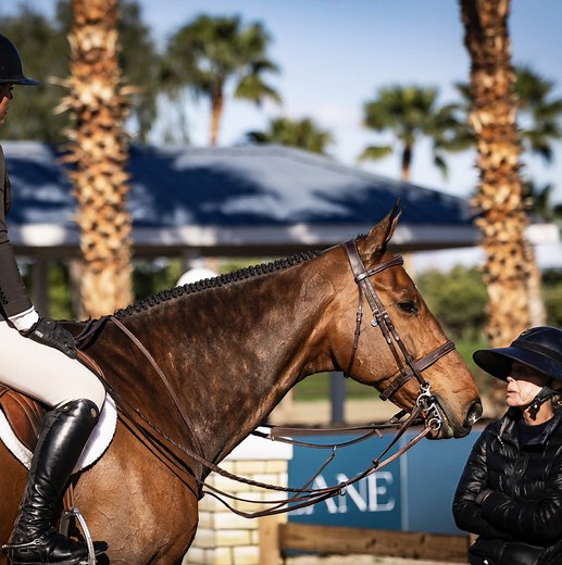 Become a Pro in Horseback Riding Techniques