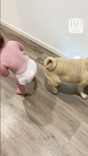 It's the simple joys that make life worth living! #love