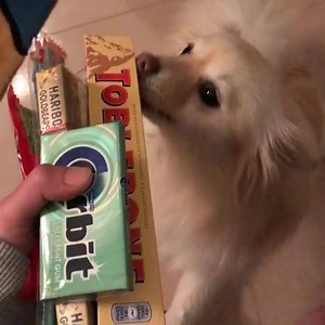 kaotsun♥ on Reels | Facebook