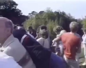 WATCH AS A BOY FALLS INTO THE PRISON CELL OF CONFINED GORILLAS IN A ZOO....and they act more humanely than we would, if they ever invaded our "home"... gorilllas also choose to not eat flesh, even though they have very long canines that can rip at it....this happened over 3 decades ago, in Jersey Zoo in the British Isles, and the gentle male gorilla's name was Jambo...we support all sancturaries, where animals are not used as "exhibits" and have limited contact with humans...they should not be a