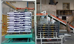 [Hot Item] Automatic High-Leveling Stacking Machine Robot Carton Palletizing Machine with Competitive Price