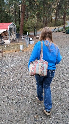 #goats #goat #dairygoat #milk #homestead #homesteading #homesteadlife #farmlife | Mountain Spring Homestead