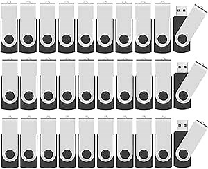 ABLAZE 1GB USB Flash Drive 50 Pack, USB 2.0 Thumb Drives with Lanyards Bulk Memory Sticks Pendrives 50PCS (Black)