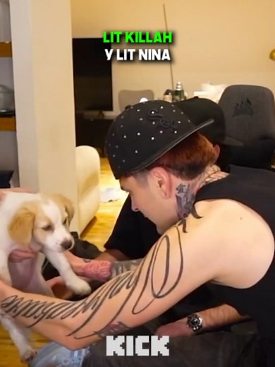 ¿Qué raza es el perro de Lit Killah? Por qué todos hablan del perrito de Melian