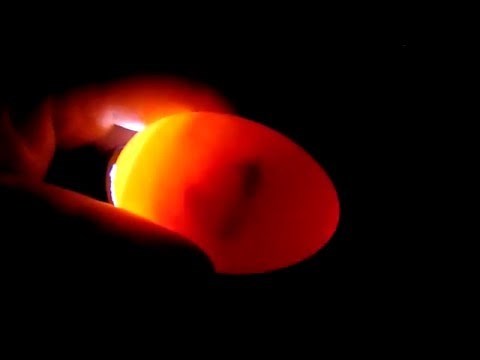 Egg Candling - Dead Embryo