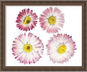 8x10 Ornate Antique Gold Shadow Box Frame - Interior Size 8x10 by 1 Inch Deep - This Frame Is Made to Display Items Up To 1 Inch Deep! Includes Shatter Resistant Acrylic Front, Backing, Hardware