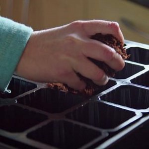 From picking out colourful flowers to getting the right compost, we've pulled together some essentials to get you ready for potting and planting this Spring! #lovewilko #garden #gardening | Wilko