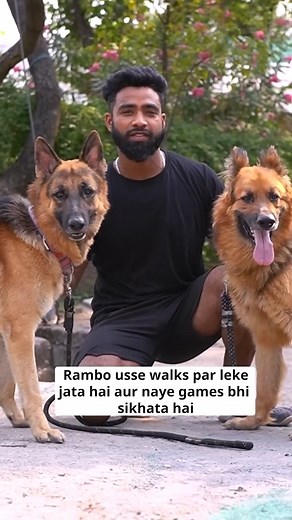 Beghar hone ke karan Jhola - ek German shepherd pet - ke andar kaafi kadwahat aa gayi thi. Is vajah se vo kayi bar dusre janwaron se lad padta thaa. Ek badi ladai ke baad use humare animal rescue par laya gaya. Hamare clinic mein uska shareer to theek ho gaya, par uske kisi ke saath na reh paane ki aadat ek badi samasya thee. | Peepal Farm