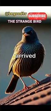 STRANG BIRD AND THE WOMAN