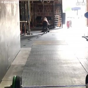 10K views · 332 reactions | Mujeres fitness las mas aferradas y fuertes | Chicas Fitness CDMX | Facebook