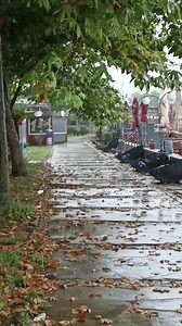 98K views · 6K reactions | Yağmurun sesine bak 19.08.2022 Giresun Cumhuriyet parkında | Giresunum | Facebook