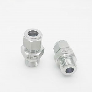 [Hot Item] Yc-Lok SS316 Compression Fittings 1/2 Od Male BSPP Thread Straight Nipples