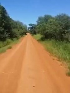 The roads we drive and the places we go to deliver a spit braai. | Ultimate Spit Braai